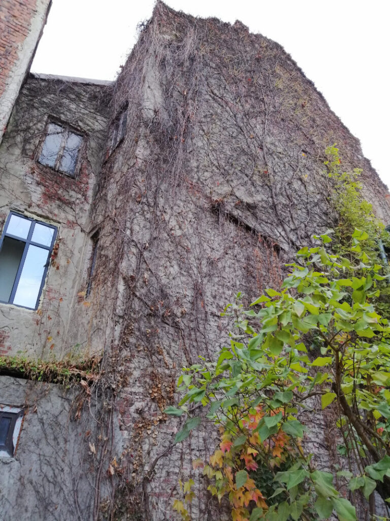 Evaluare proiect arhitectura
